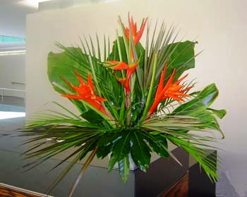 Corporate flowers from Beechside Group