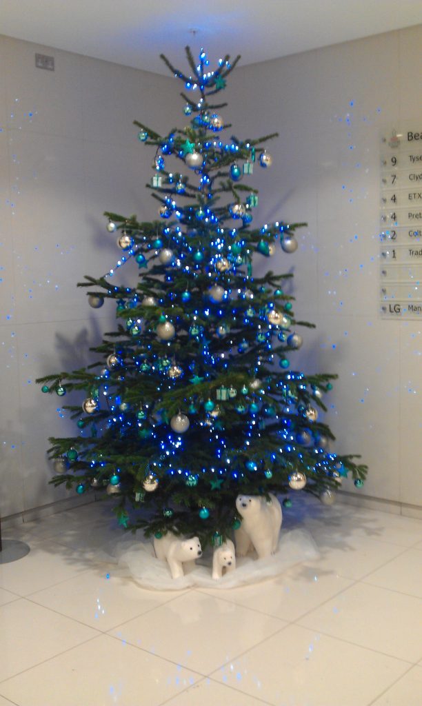 Christmas Trees by Beechside Nursery Christmas Trees by Beechside Nursery