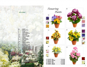 Artificial Flowers Brochure [Click to View]