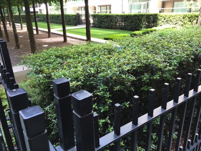 Commercial Displays, Business Grounds & Apartment Blocks by Beechside Group